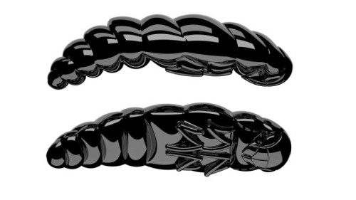 krokodyl1-618720