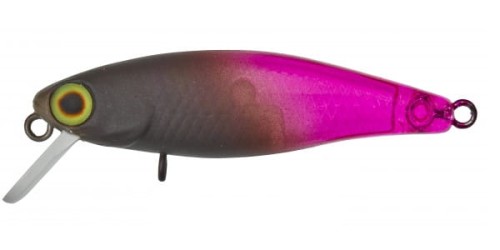 krokodyl1-618824