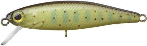 krokodyl1-619085