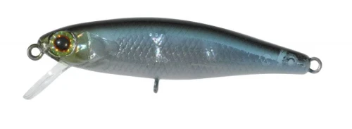 krokodyl1-619093