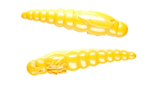 krokodyl1-619209