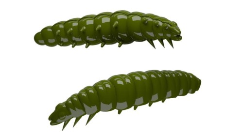 krokodyl1-619328