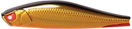 krokodyl1-619578