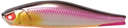 krokodyl1-619583