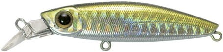 krokodyl1-619622