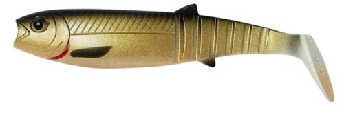 krokodyl1-620395