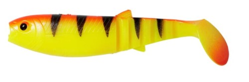 krokodyl1-620396