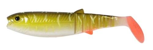 krokodyl1-620444