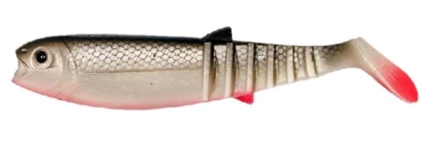 krokodyl1-620476