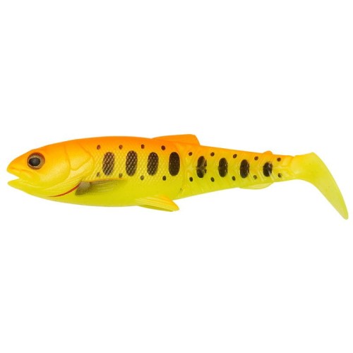 krokodyl1-620519