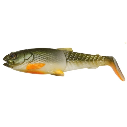 krokodyl1-620555