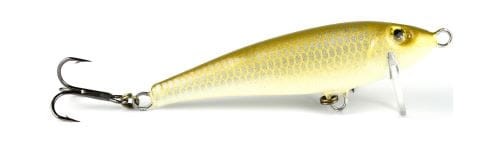 krokodyl1-620638