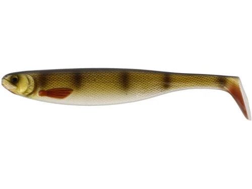 krokodyl1-622872