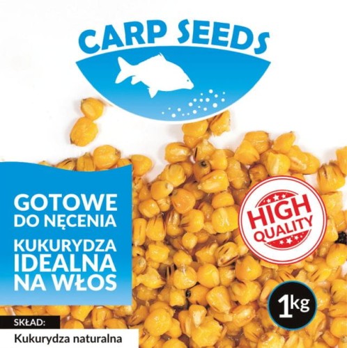 krokodyl2-571849