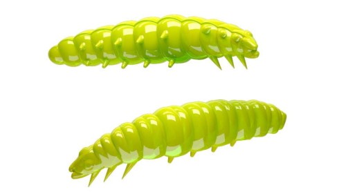krokodyl2-582452