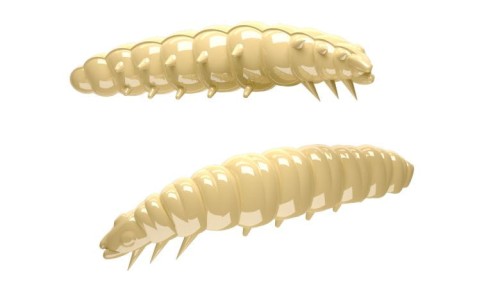 krokodyl2-582496
