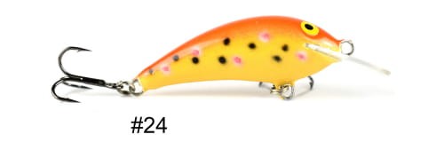 krokodyl2-597306