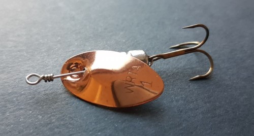 krokodyl2-604120