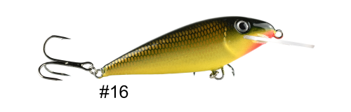 krokodyl2-614513