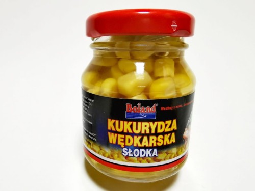 krokodyl2-619147