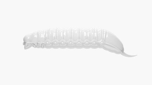 krokodyl3-570031