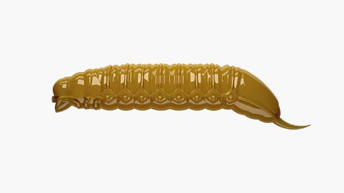 krokodyl3-570038