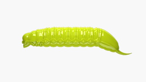 krokodyl3-570040