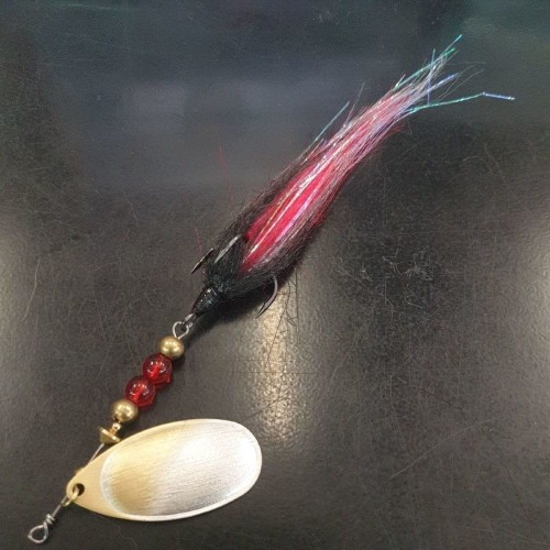 krokodyl3-576053