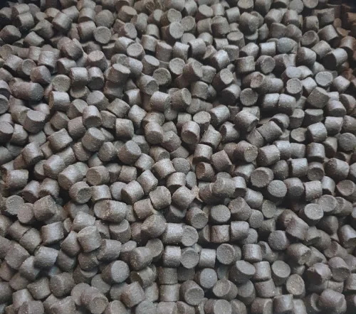 krokodyl3-582878