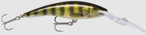 krokodyl3-602237