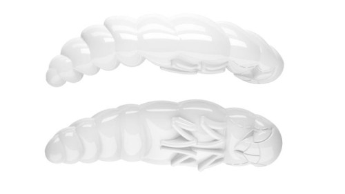 krokodyl3-608495