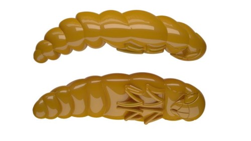 krokodyl3-608525