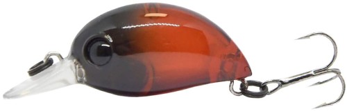 krokodyl3-613998