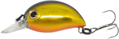 krokodyl3-614011