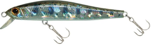 krokodyl3-614051