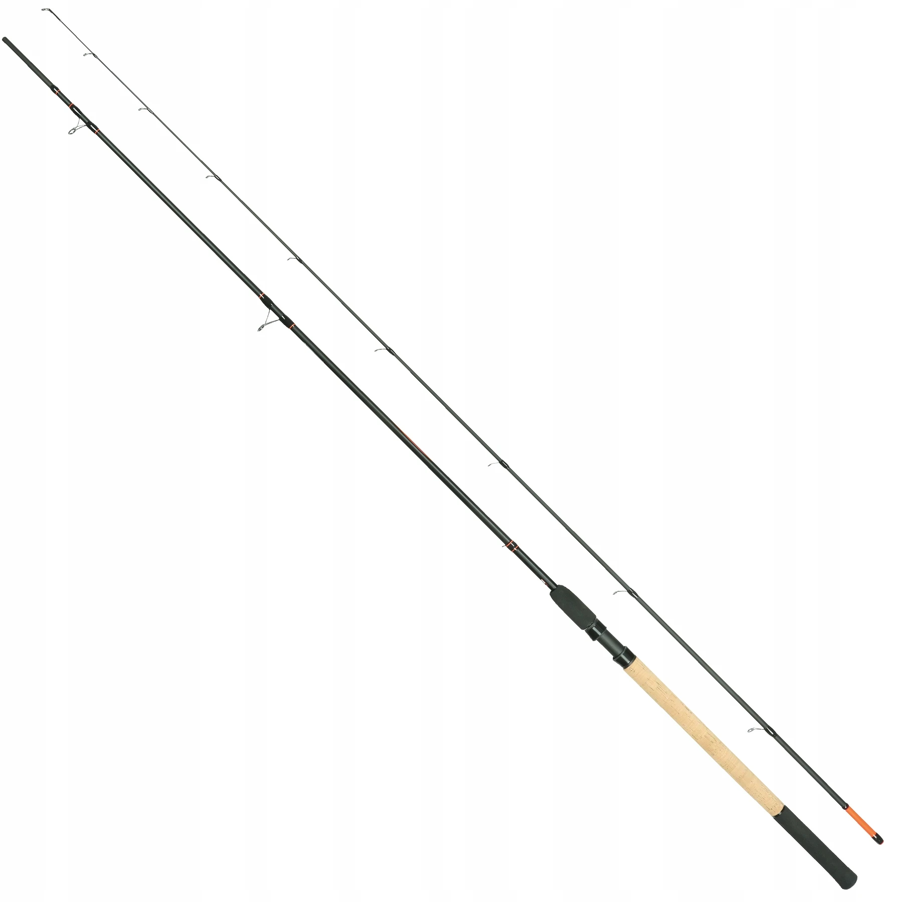 mysterycarp-510436