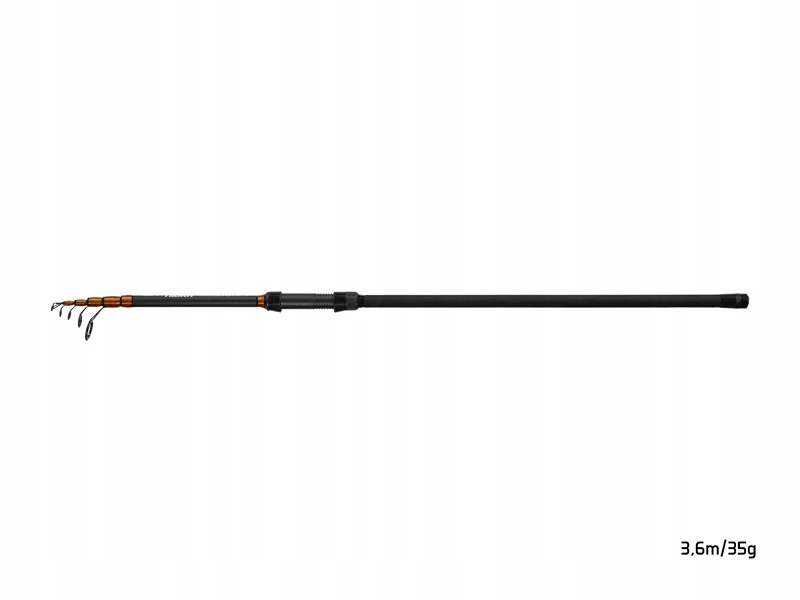 mysterycarp-510858