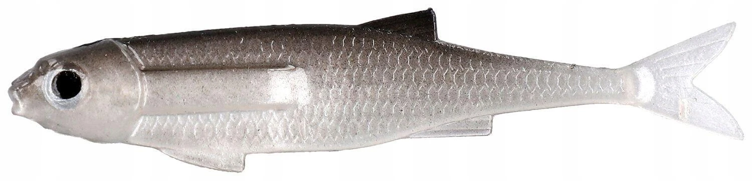mysterycarp-511116