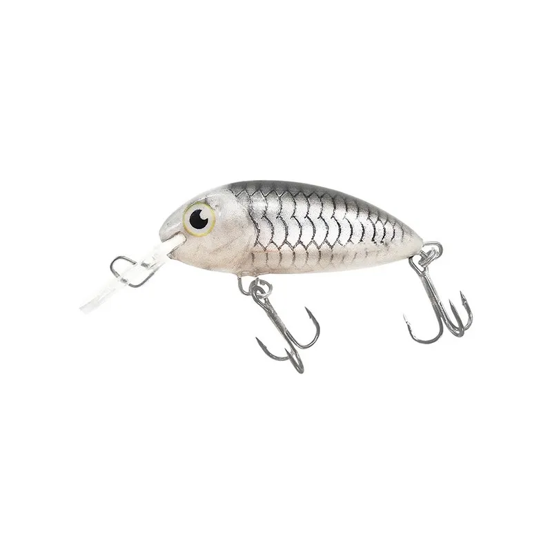 sklep-mietus2-699079