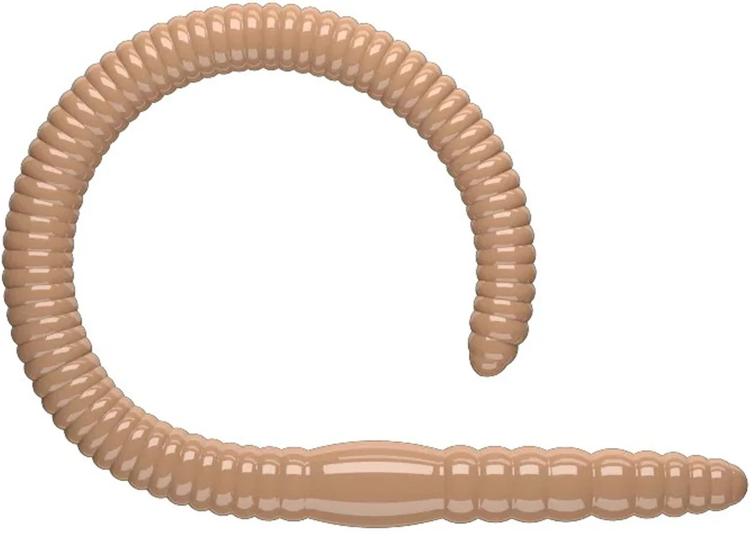 sklepwedkarski1-520482