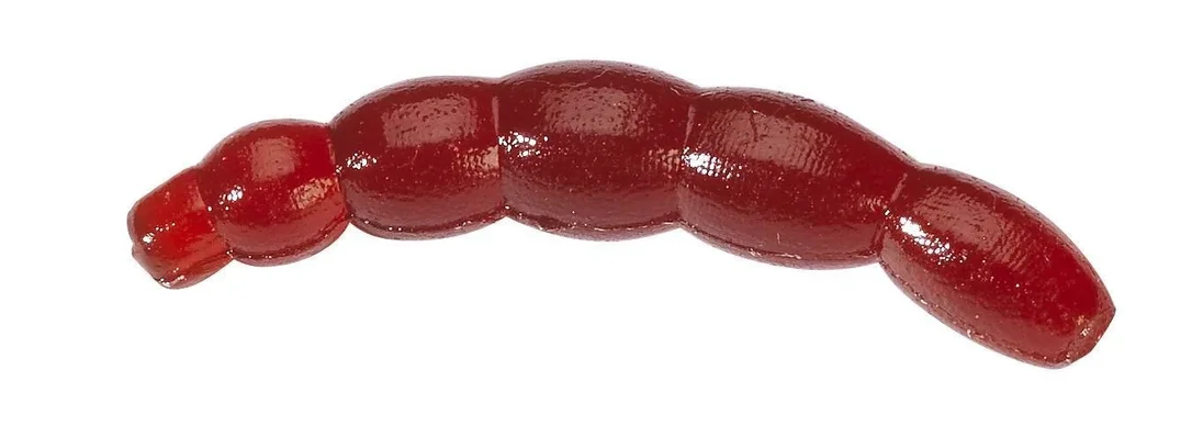 sklepwedkarski2-573863
