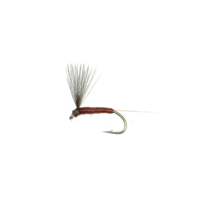 taimen-750765