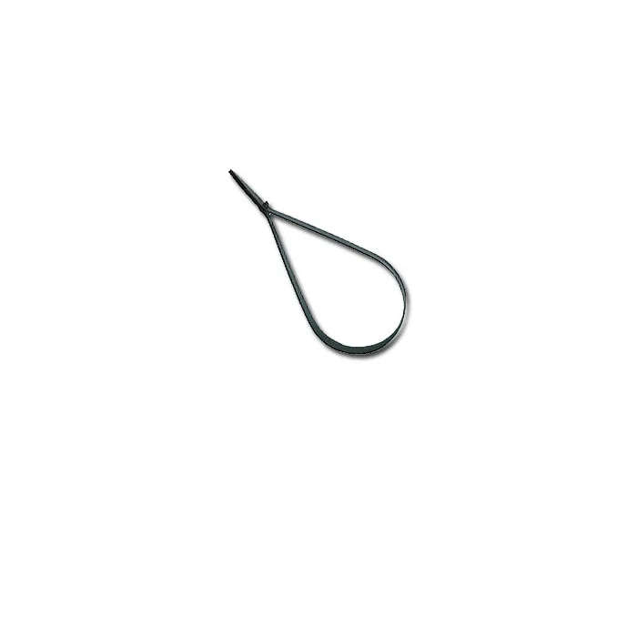 taimen-750935