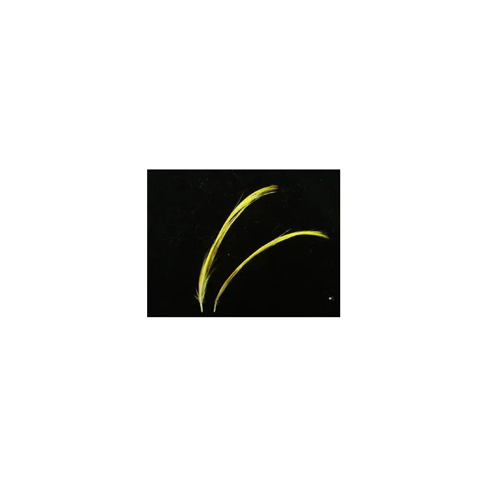 taimen-750941