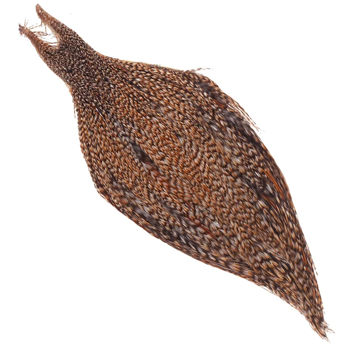 taimen-751465
