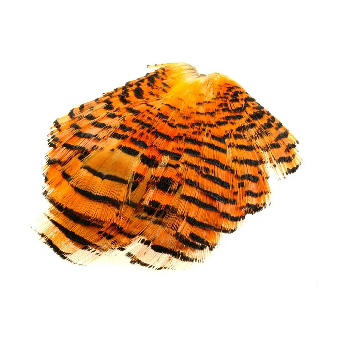 taimen-752420