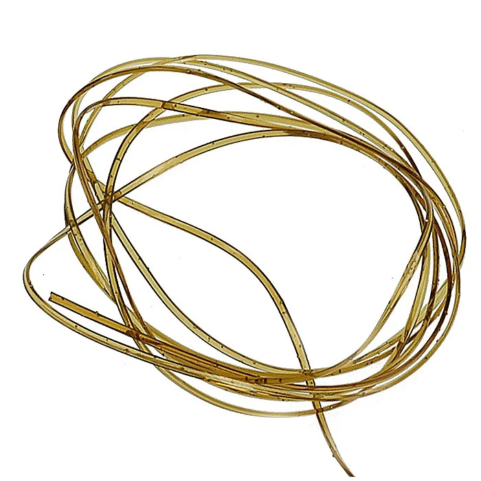 taimen-752429